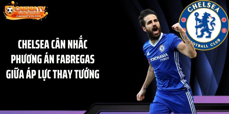 Chelsea Cân Nhắc Phương Án Fabregas Giữa Áp Lực Thay Tướng